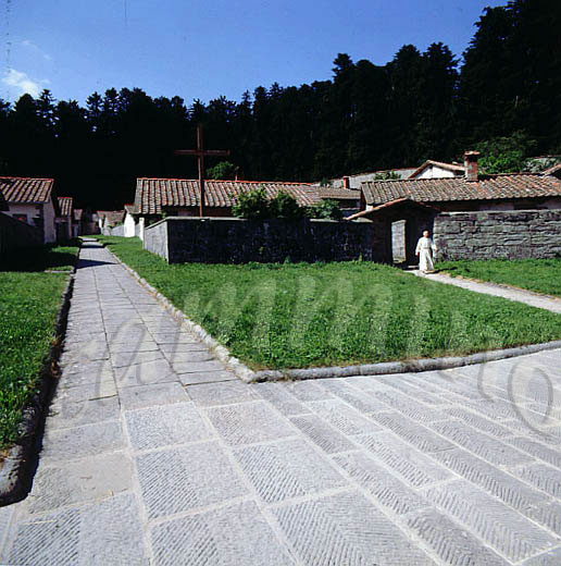 monaci381