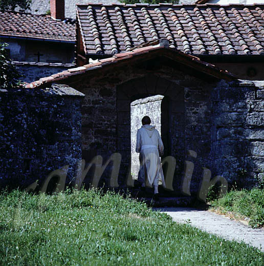 monaci389