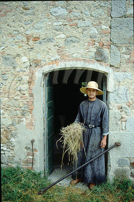 monaci410