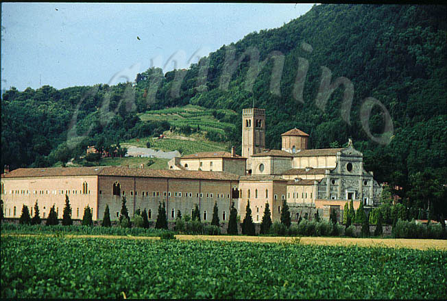 monaci417