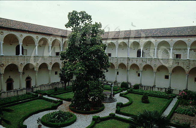monaci423