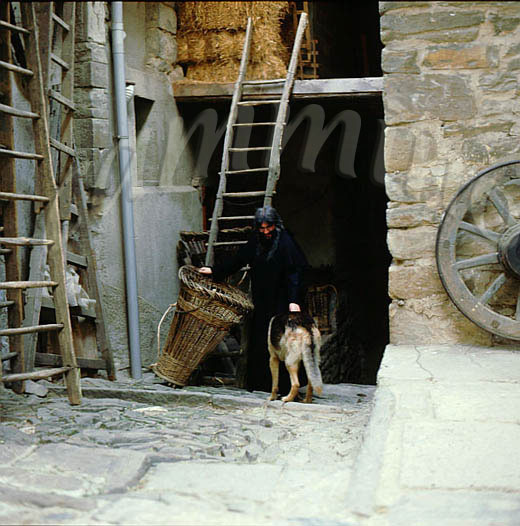 monaci428