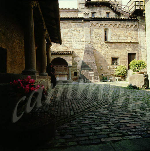 monaci431