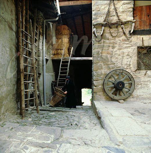 monaci433