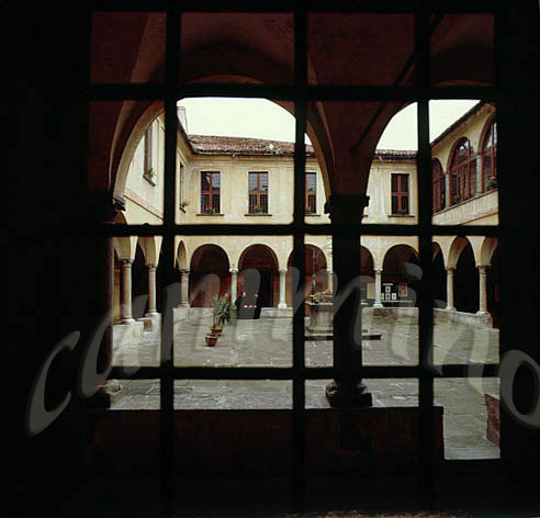 monaci436