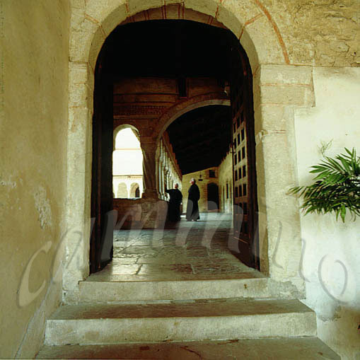 monaci452