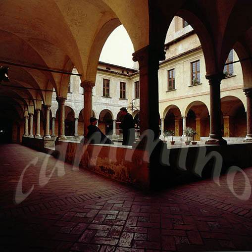 monaci453