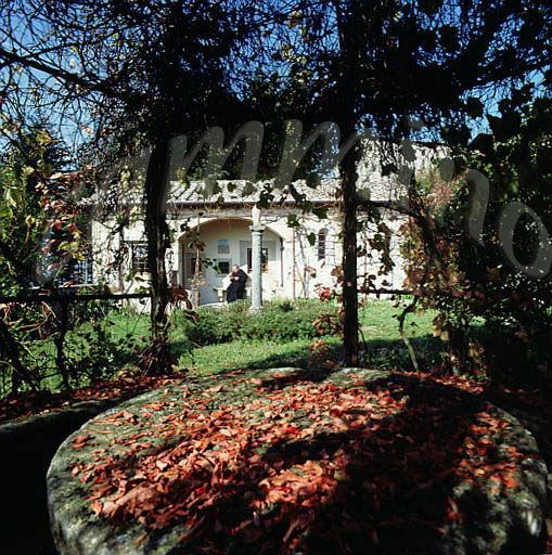 monaci460