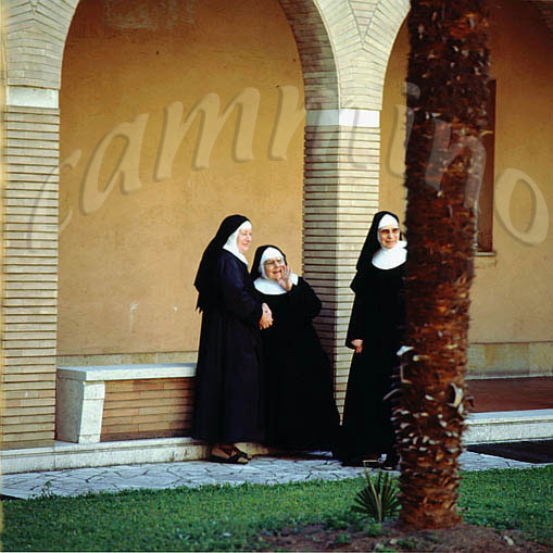 monaci473