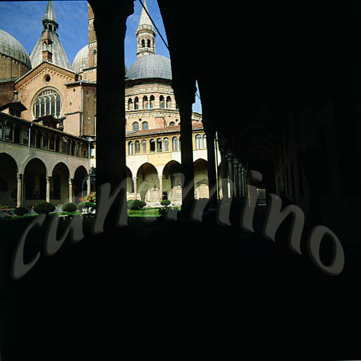 monaci823