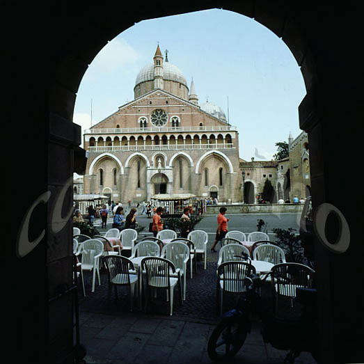 monaci827