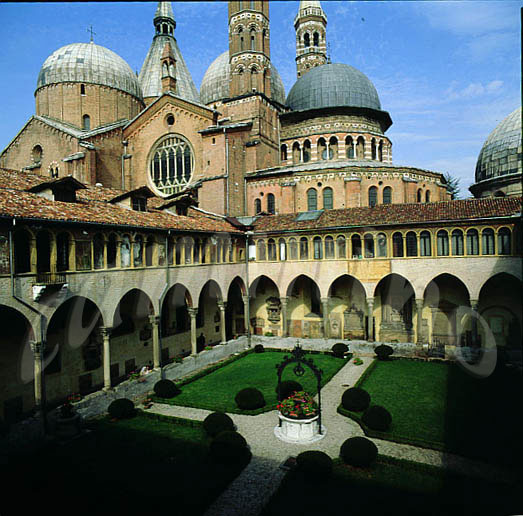 monaci828