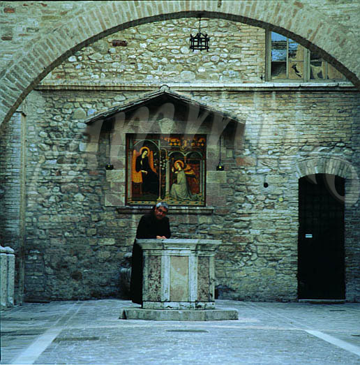 monaci838