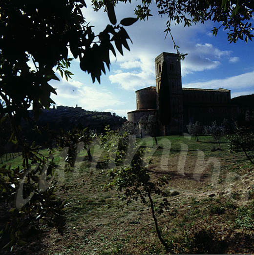 monaci919