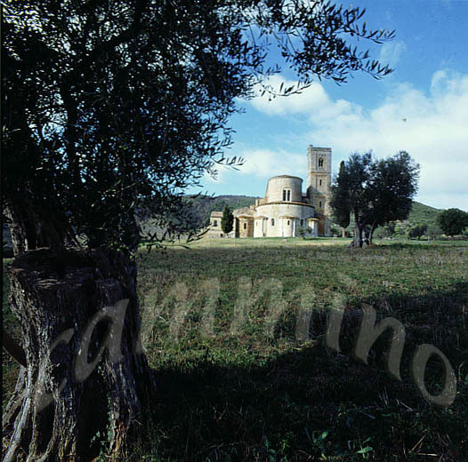 monaci920