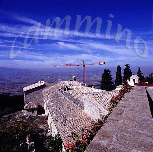 monaci931