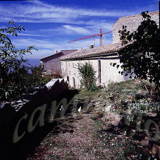 monaci945