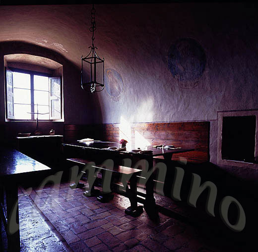 monaci954