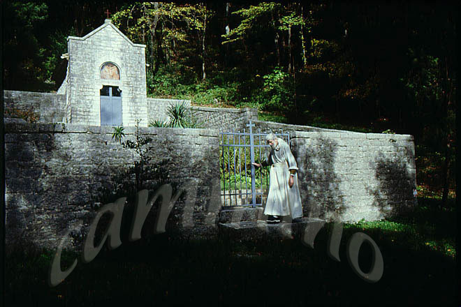 monaci957