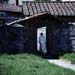 monaci389