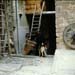 monaci428