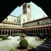monaci429