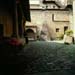 monaci431