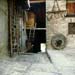 monaci433