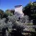 monaci929