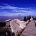 monaci931