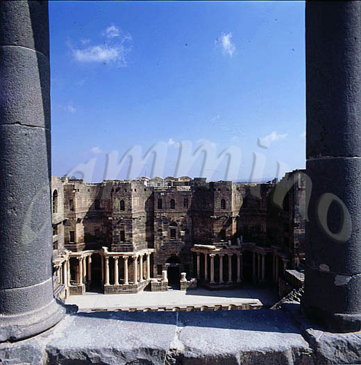 siria239