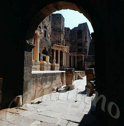 siria246