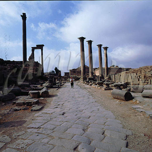 siria261
