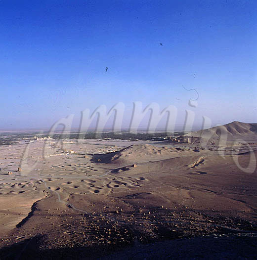 siria262