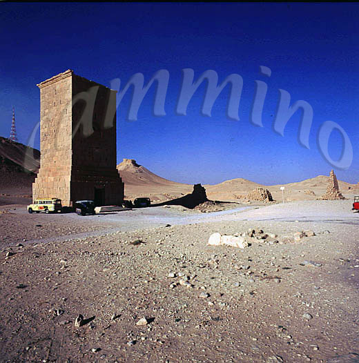 siria266