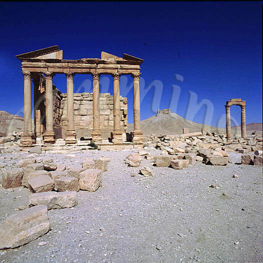 siria274
