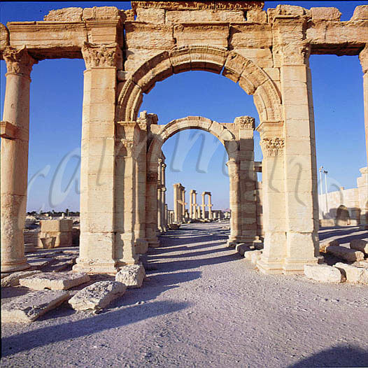 siria278